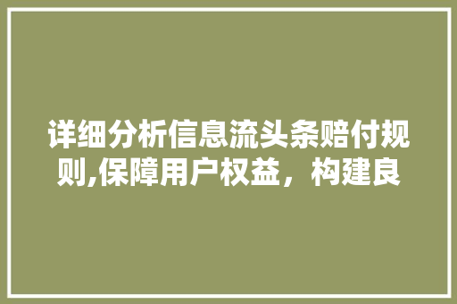 详细分析信息流头条赔付规则,保障用户权益，构建良性生态