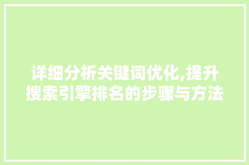 详细分析关键词优化,提升搜索引擎排名的步骤与方法