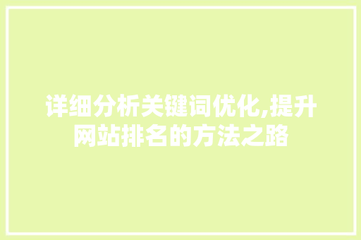 详细分析关键词优化,提升网站排名的方法之路