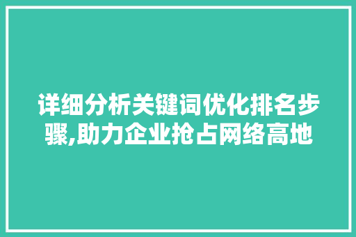 详细分析关键词优化排名步骤,助力企业抢占网络高地