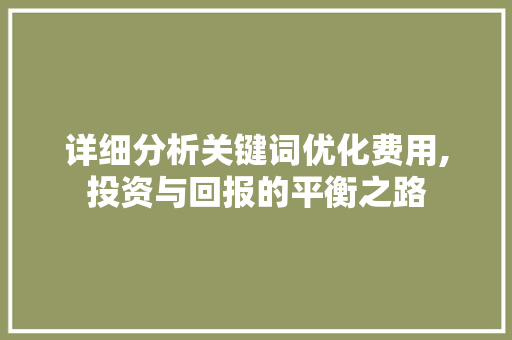 详细分析关键词优化费用,投资与回报的平衡之路