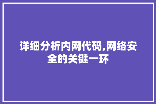 详细分析内网代码,网络安全的关键一环