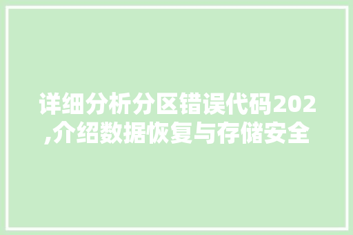 详细分析分区错误代码202,介绍数据恢复与存储安全