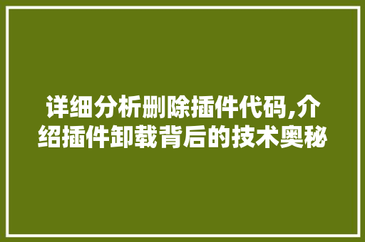 详细分析删除插件代码,介绍插件卸载背后的技术奥秘