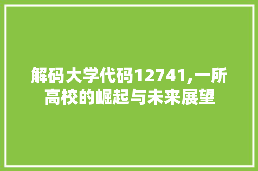 解码大学代码12741,一所高校的崛起与未来展望