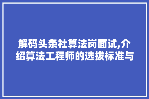 解码头条社算法岗面试,介绍算法工程师的选拔标准与成长路径