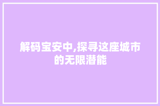 解码宝安中,探寻这座城市的无限潜能