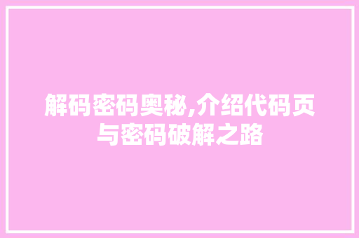 解码密码奥秘,介绍代码页与密码破解之路