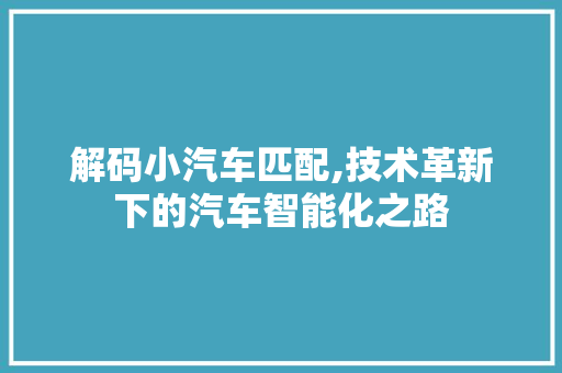 解码小汽车匹配,技术革新下的汽车智能化之路