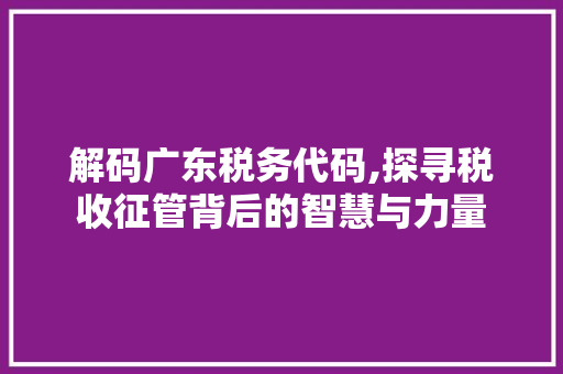 解码广东税务代码,探寻税收征管背后的智慧与力量