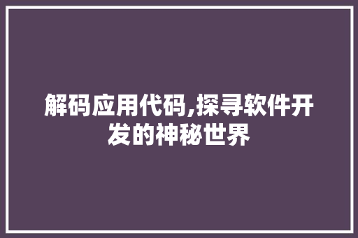 解码应用代码,探寻软件开发的神秘世界