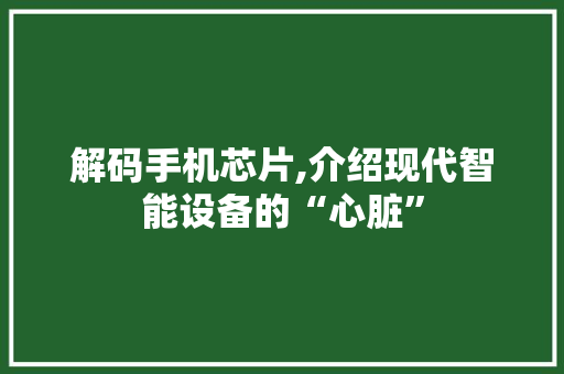 解码手机芯片,介绍现代智能设备的“心脏”