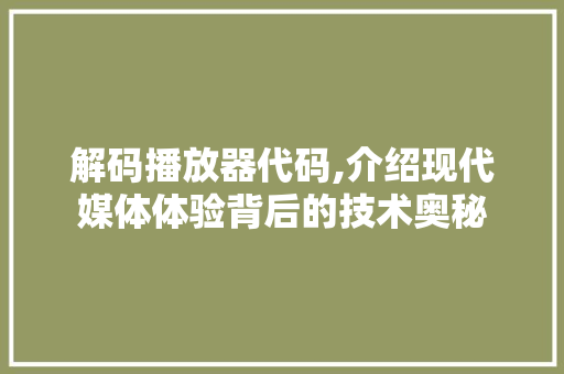 解码播放器代码,介绍现代媒体体验背后的技术奥秘