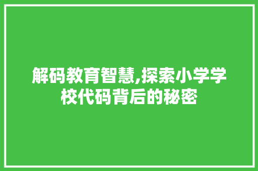 解码教育智慧,探索小学学校代码背后的秘密