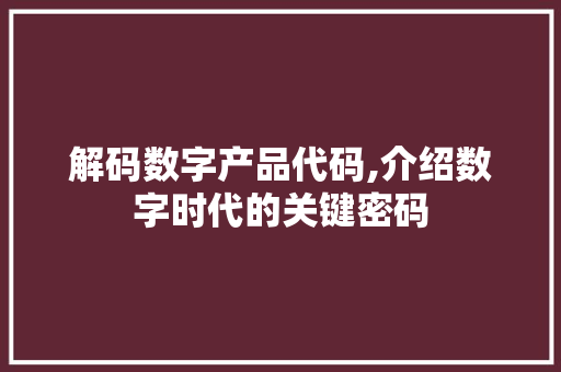 解码数字产品代码,介绍数字时代的关键密码