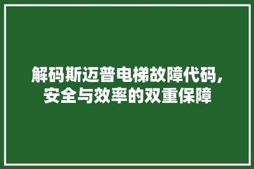 解码斯迈普电梯故障代码,安全与效率的双重保障