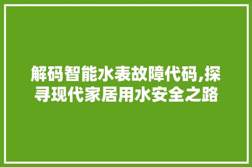 解码智能水表故障代码,探寻现代家居用水安全之路