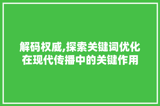 解码权威,探索关键词优化在现代传播中的关键作用