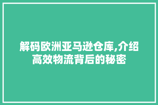 解码欧洲亚马逊仓库,介绍高效物流背后的秘密