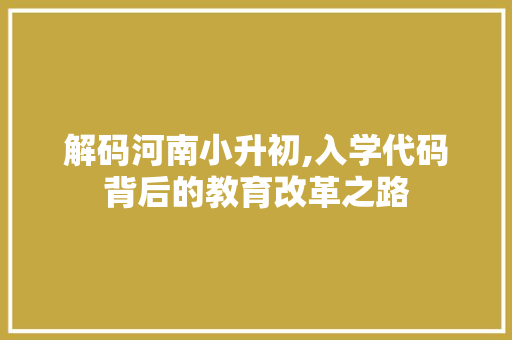 解码河南小升初,入学代码背后的教育改革之路