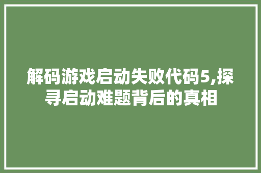 解码游戏启动失败代码5,探寻启动难题背后的真相