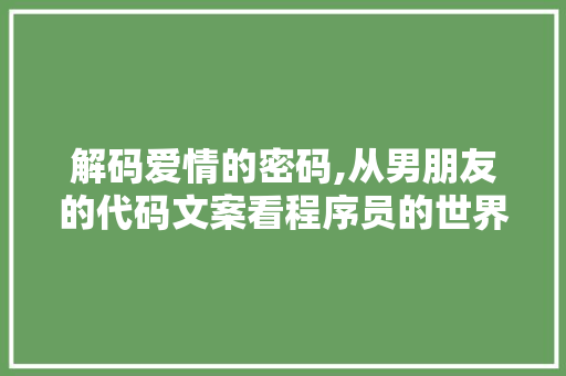 解码爱情的密码,从男朋友的代码文案看程序员的世界