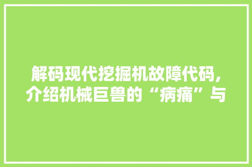 解码现代挖掘机故障代码,介绍机械巨兽的“病痛”与“良方”