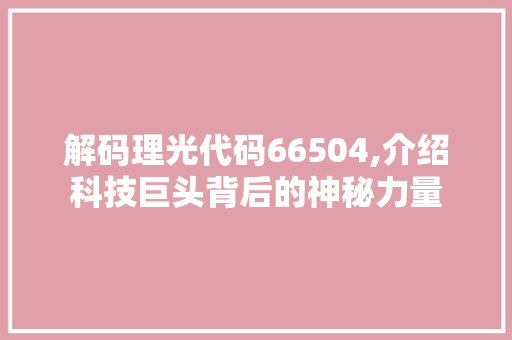 解码理光代码66504,介绍科技巨头背后的神秘力量