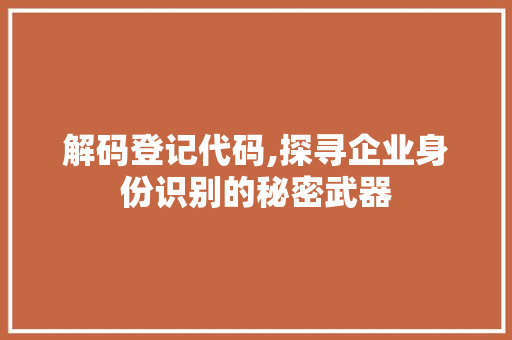 解码登记代码,探寻企业身份识别的秘密武器