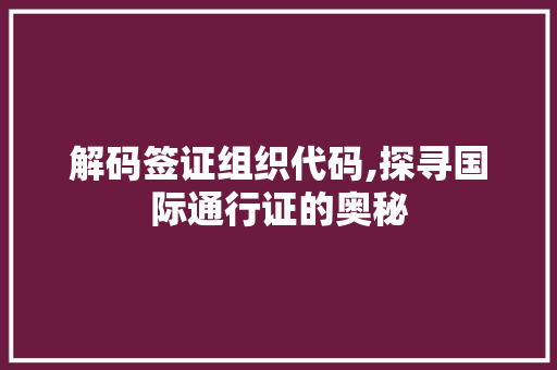 解码签证组织代码,探寻国际通行证的奥秘