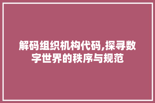 解码组织机构代码,探寻数字世界的秩序与规范