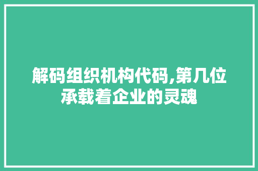 解码组织机构代码,第几位承载着企业的灵魂