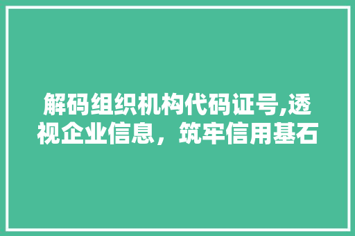 解码组织机构代码证号,透视企业信息，筑牢信用基石