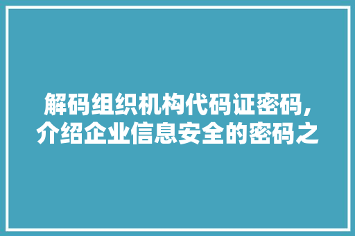 解码组织机构代码证密码,介绍企业信息安全的密码之门