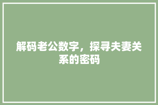 解码老公数字，探寻夫妻关系的密码 Angular