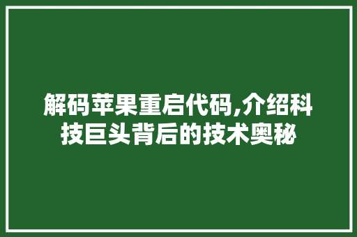 解码苹果重启代码,介绍科技巨头背后的技术奥秘