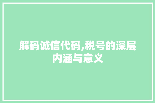 解码诚信代码,税号的深层内涵与意义