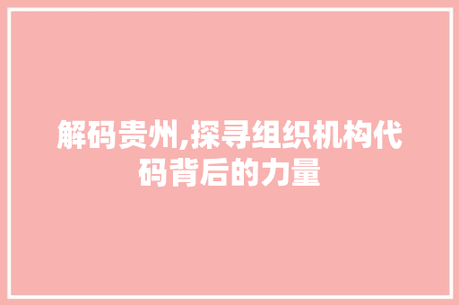 解码贵州,探寻组织机构代码背后的力量