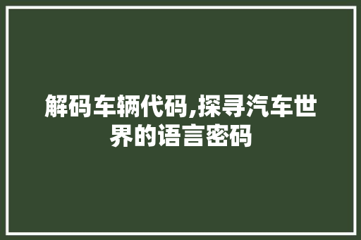 解码车辆代码,探寻汽车世界的语言密码