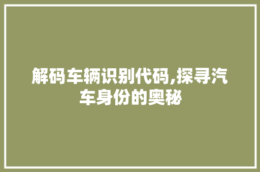 解码车辆识别代码,探寻汽车身份的奥秘