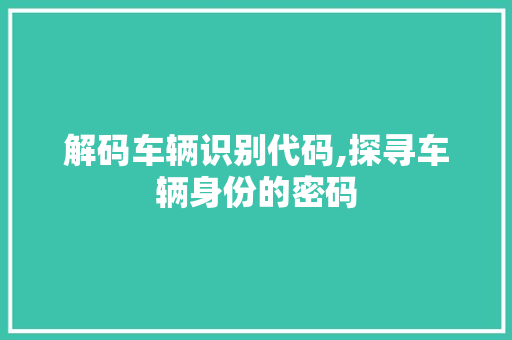 解码车辆识别代码,探寻车辆身份的密码