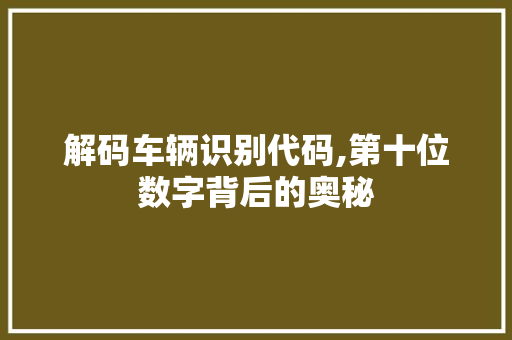 解码车辆识别代码,第十位数字背后的奥秘