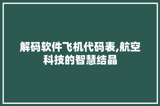 解码软件飞机代码表,航空科技的智慧结晶