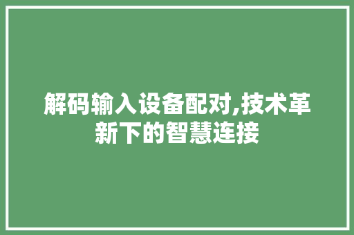 解码输入设备配对,技术革新下的智慧连接