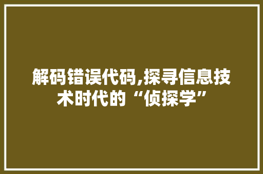 解码错误代码,探寻信息技术时代的“侦探学”