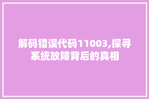 解码错误代码11003,探寻系统故障背后的真相 Vue.js