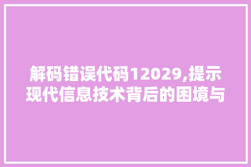 解码错误代码12029,提示现代信息技术背后的困境与挑战