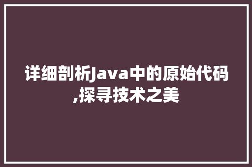 详细剖析Java中的原始代码,探寻技术之美