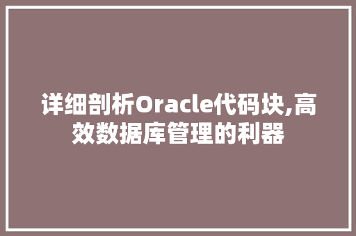 详细剖析Oracle代码块,高效数据库管理的利器