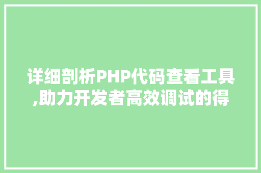 详细剖析PHP代码查看工具,助力开发者高效调试的得力助手